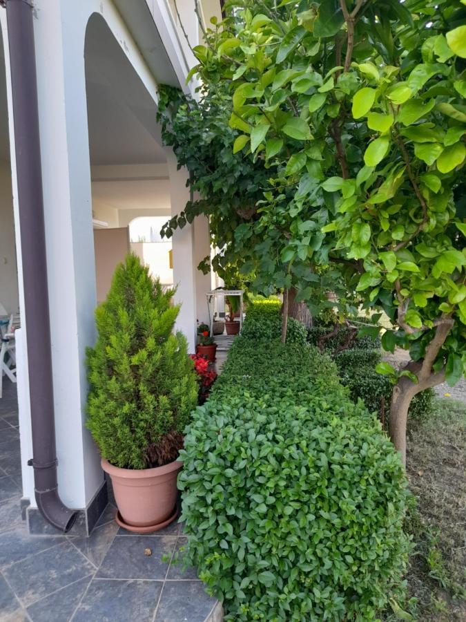 Holiday S&M Lopar Exterior photo